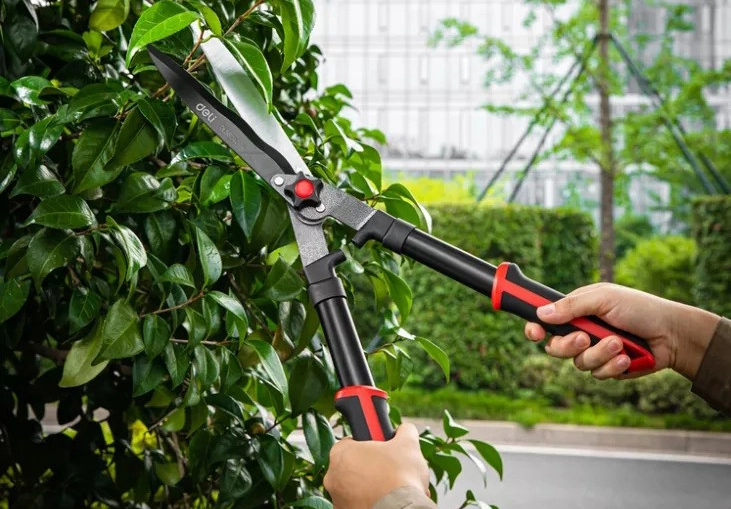 Attrezzo da giardino-attrezzatura essenziale per gli appassionati di orticoltura